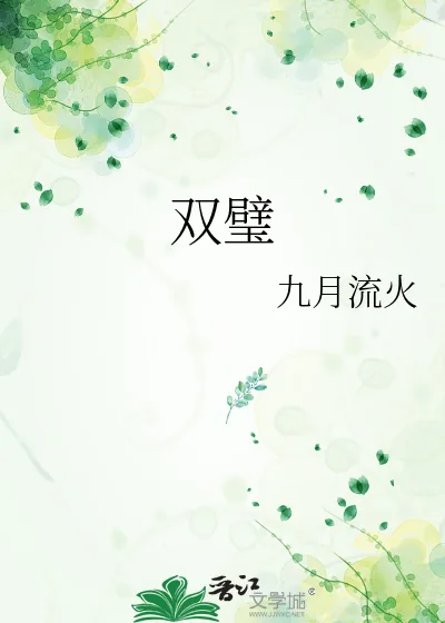 《双璧》小说封面