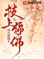 《枝上绵绵》小说封面