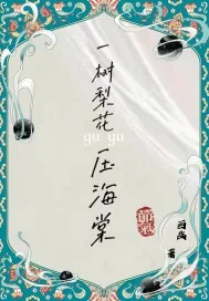《一树梨花压海棠之女儿国》小说封面