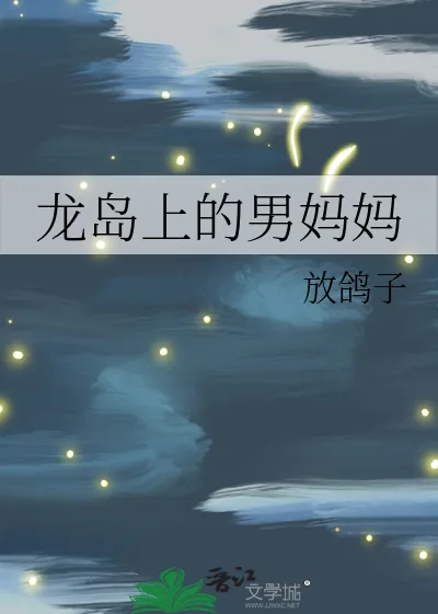 《龙岛上的男妈妈》小说封面