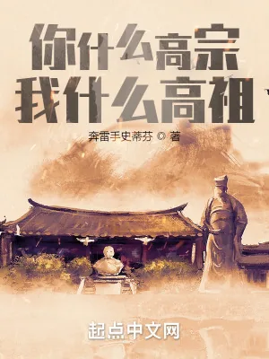 《我，汉高祖，竟然穿越宋高宗？》小说封面