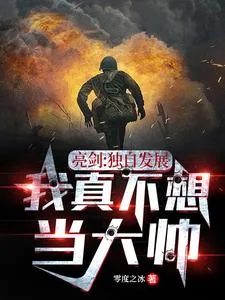 《亮剑：独自发展，我真不想当大帅》小说封面