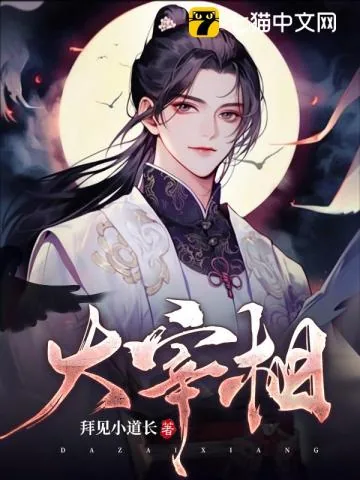 《大宰相》小说封面