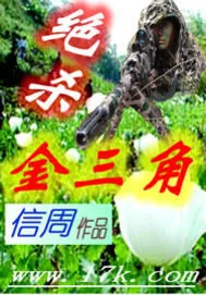 《绝杀金三角》小说封面