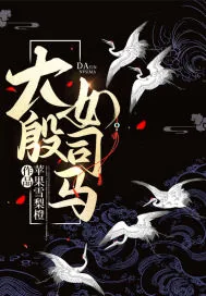 《大殷女司马》小说封面
