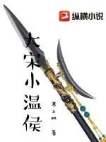 《大宋小温侯》小说封面