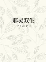 《邪灵双生》小说封面