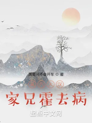 《蒸汽大汉:家兄霍去病》小说封面