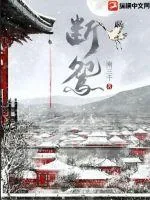 《断鸳》小说封面