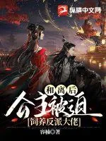 《和离后，公主被迫饲养反派大佬》小说封面