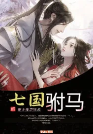 《七国驸马》小说封面