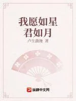 《我愿如星君如月》小说封面