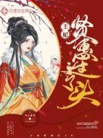 《王妃贤惠过了头》小说封面