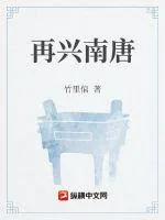《再兴南唐》小说封面