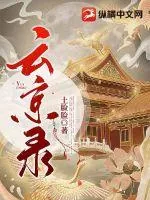 《云京录》小说封面