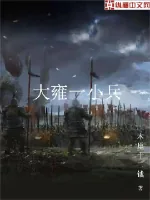 《大雍一小兵》小说封面