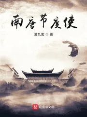 《南唐节度使》小说封面