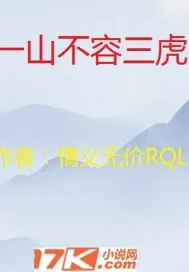 《一山不容三虎》小说封面
