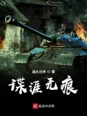 《谍涯无痕》小说封面