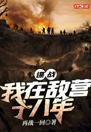 《谍战：我在敌营十八年》小说封面