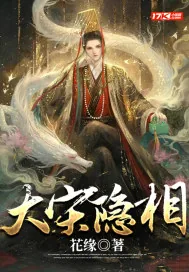 《大宋隐相》小说封面