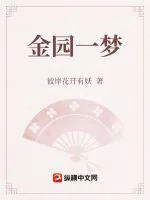 《金园一梦》小说封面