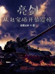 《亮剑:从赵家峪开始震惊》小说封面