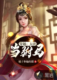 《穿越：大唐当驸马》小说封面