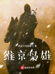 《维京枭雄》小说封面