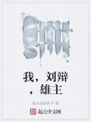 《我，刘辩，雄主》小说封面