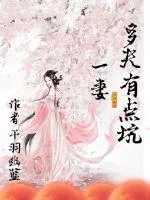 《一妻多夫有点坑》小说封面