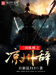 《三国纵横之凉州辞》小说封面