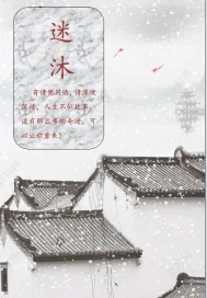 《迷沐》小说封面