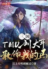 《三国:TMD刘大耳,敢偷我的马!》小说封面