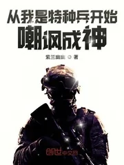 《从我是特种兵开始嘲讽成神》小说封面