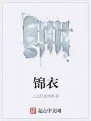 《锦衣》小说封面