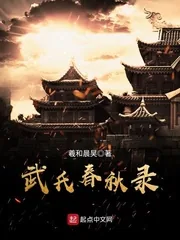 《武氏春秋录》小说封面