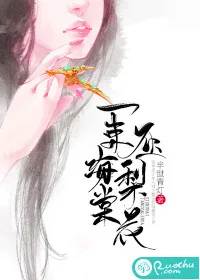 《一束海棠压梨花》小说封面