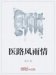 《医路风雨情》小说封面