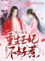 《废王霸宠:重生王妃不好惹》小说封面