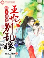 《殿下追妻:王妃别乱嫁》小说封面