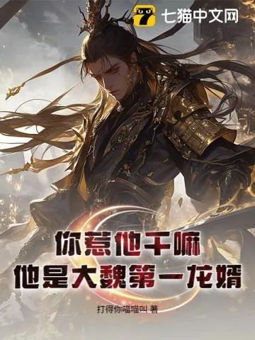 《你惹他干嘛?他是大魏第一龙婿!》小说封面