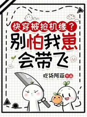 《快穿被抢机缘？别怕，我崽会带飞》小说封面