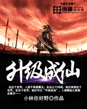 《升级成仙》小说封面