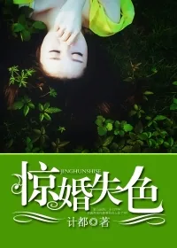 《惊婚失色》小说封面