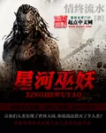 《星河巫妖》小说封面