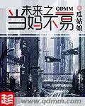 《未来之当妈不易》小说封面