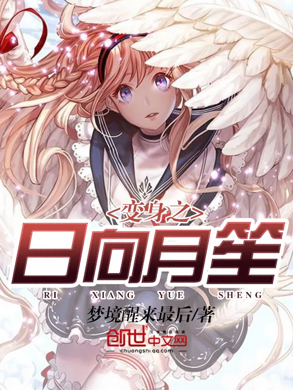 《变身之日向月笙》小说封面