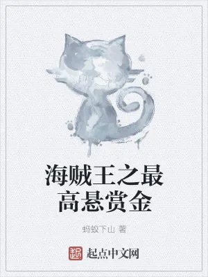 《海贼王之最高悬赏金》小说封面