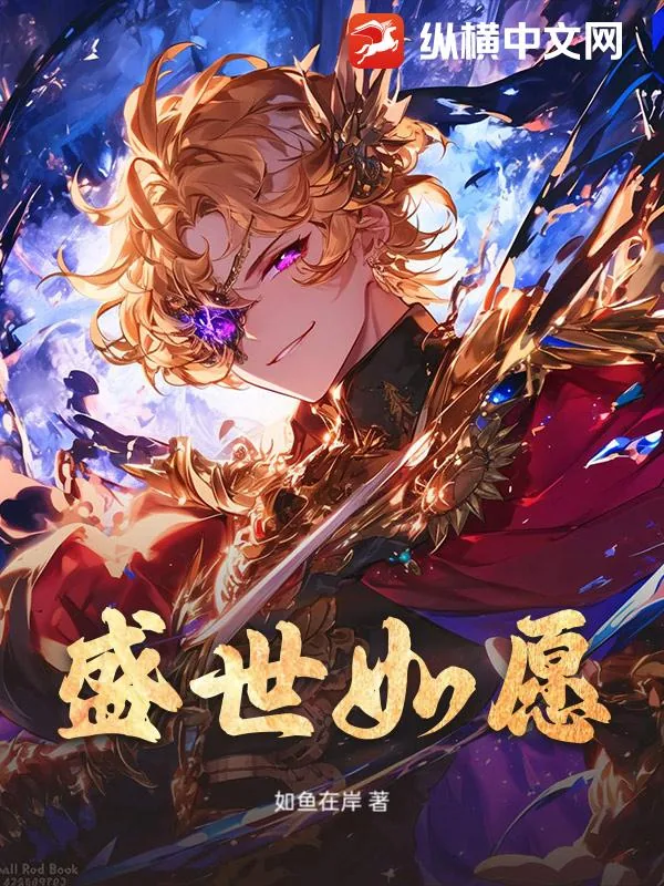 《盛世如愿》小说封面